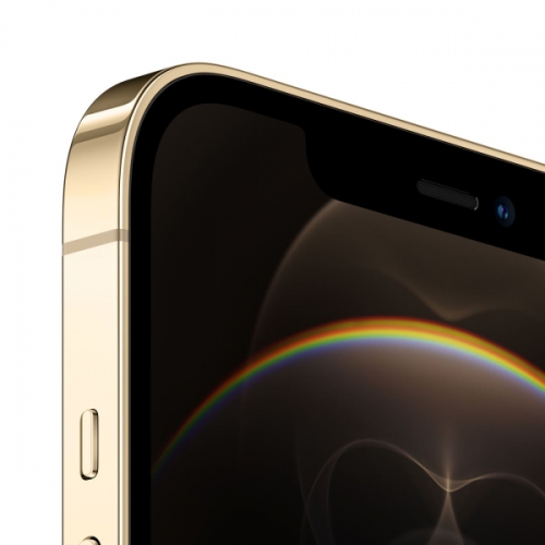 Apple iPhone 12 Pro Max 512Gb Gold RU